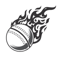 Icône Cricket